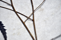 Detalle 2